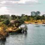 Udawalawe National Park Safari from Unawatuna - Who Should Book This Tour?