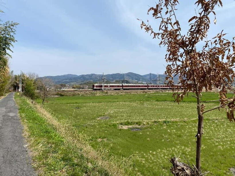 Uji: Tea Ceremony, Calligraphy, and Tea Field Walking Tour - Exploring the Itinerary in Detail