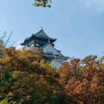 Ultimate Osaka Walking Tour - Castle, Shinsekai, & Dotonbori - The Sum Up