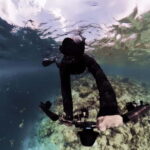 Underwater Photography Course - What Is the Underwater Photography Course Really About?