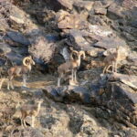 Undiscovered Uzbekistan - Hayat Village Tour from Samarkand - Practical Tips for the Tour