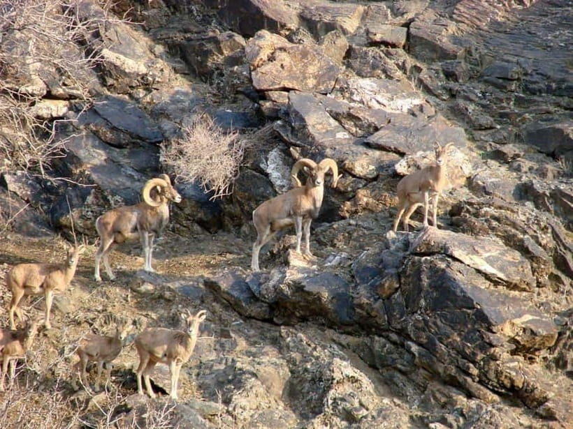 Undiscovered Uzbekistan - Hayat Village Tour from Samarkand - Practical Tips for the Tour