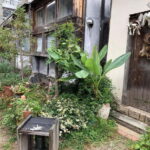 Urban Canvas: Osaka Street Art Bike Tour - What to Expect from the Tour