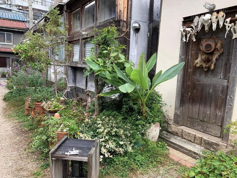 Urban Canvas: Osaka Street Art Bike Tour - What to Expect from the Tour