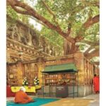 Varanasi to Bodhgaya : A day trip of Enlightment exploration - Exploring the Mahabodhi Temple Complex