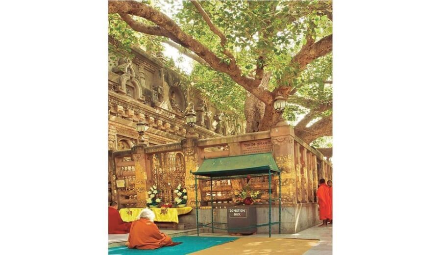 Varanasi to Bodhgaya : A day trip of Enlightment exploration - Exploring the Mahabodhi Temple Complex