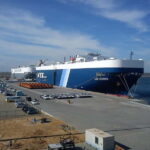 Village Expedition in Yala By Tuk-Tuk from Hambantota Harbor - An In-Depth Look at the Village Expedition in Yala