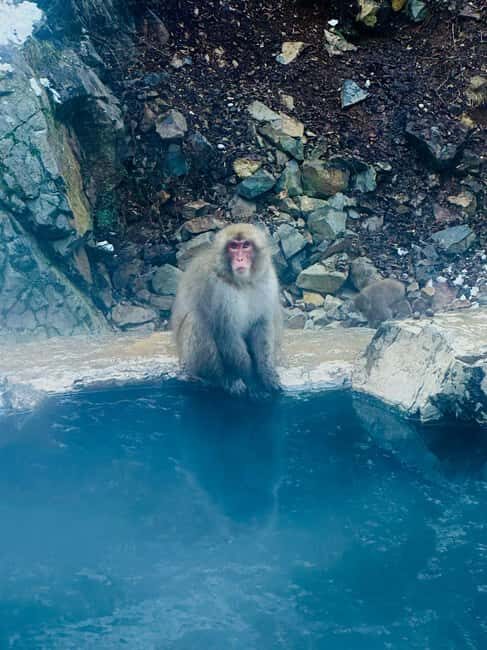 VIP Snow Monkey Park & Zenkoji Temple One Day Private Tour - A Deep Dive into the Itinerary and Experiences