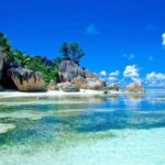 Visit Cham Islands & Snorkelling & Scuba Diving - Transportation & Group Size