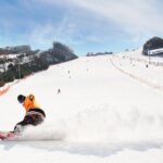 Vivaldi Park Winter Ski Resort with Nami Island Tour from Seoul - Who Will Love This Tour?