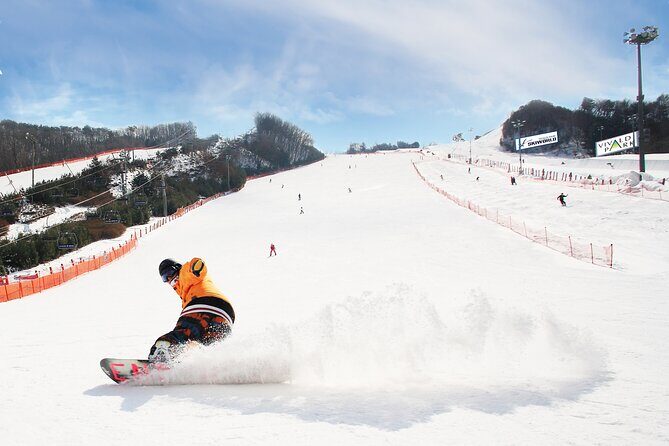 Vivaldi Park Winter Ski Resort with Nami Island Tour from Seoul - Who Will Love This Tour?