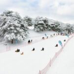 Vivaldi Park Winter Ski with Eobi Ice Valley Day Tour from Seoul - Practical Details and Considerations