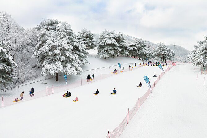 Vivaldi Park Winter Ski with Eobi Ice Valley Day Tour from Seoul - Practical Details and Considerations