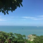 Vung Tau Beach full day tour from Ho Chi Minh City - What the Tour Entails: A Detailed Breakdown
