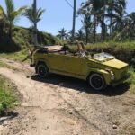 VW Safari,Bayan Ancient Tree,Jatiluwih,Wanagiri,Banyumala Twin Waterfalls - Practical Tips for Your Bali VW Safari