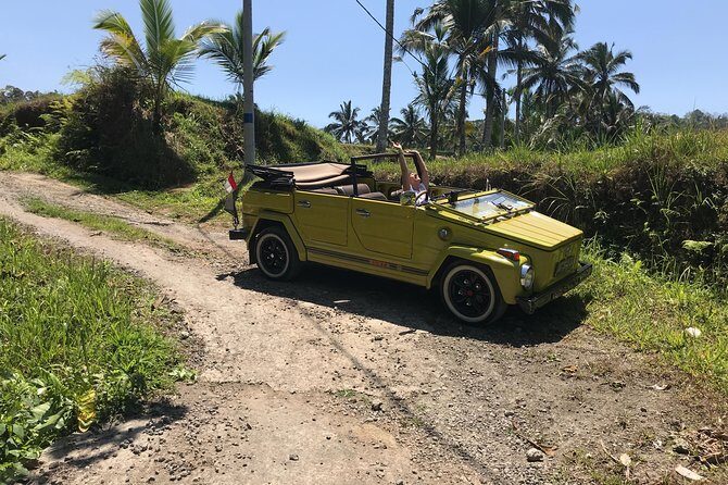 VW Safari,Bayan Ancient Tree,Jatiluwih,Wanagiri,Banyumala Twin Waterfalls - Practical Tips for Your Bali VW Safari