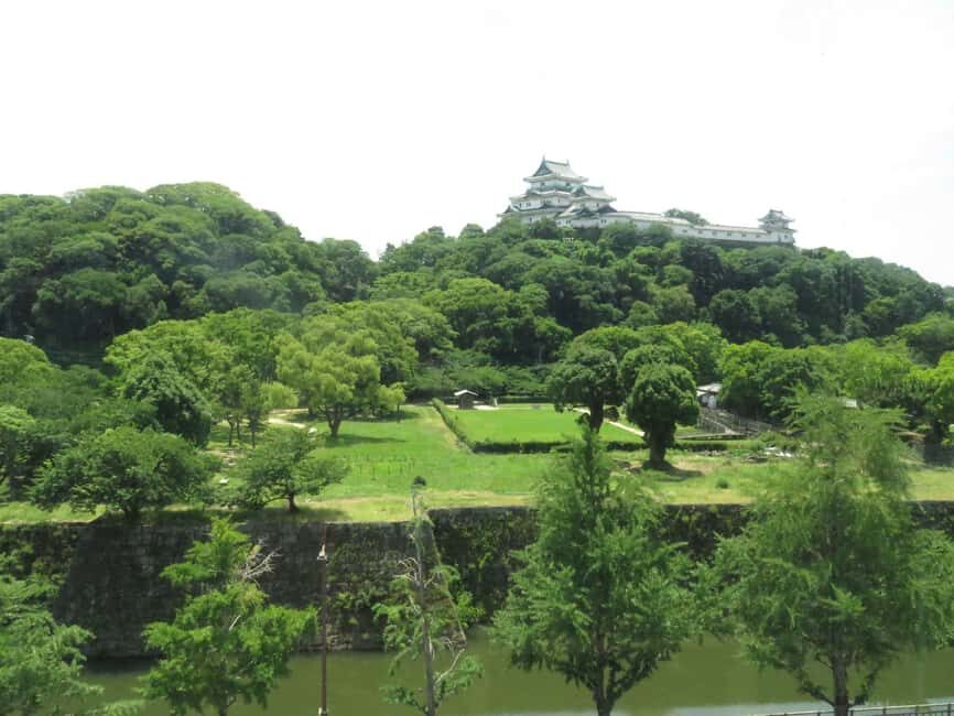 Wakayama: Castle Park Guided Walking Tour with Matcha - The Itinerary in Detail
