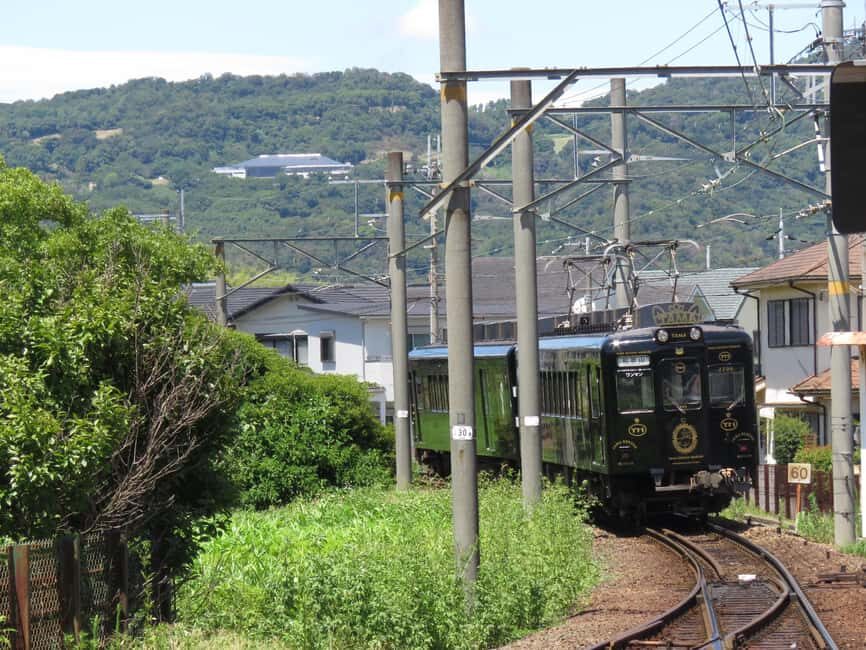 Wakayama: Cat Stationmasters and Local Myths, Train Tour - Who Will Love This Tour?