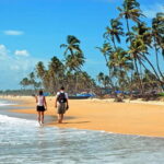Walk and Explore Vasco Da Gama City: Guided Tour by Foot - What’s Included and What to Keep in Mind
