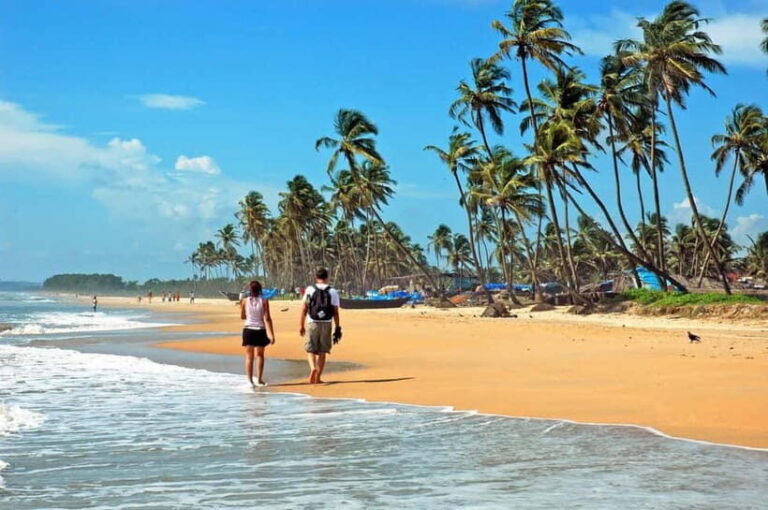 Walk and Explore Vasco Da Gama City: Guided Tour by Foot - What’s Included and What to Keep in Mind