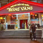 Water Puppet Show And Dinner Cruise On Saigon River Tour - The Balance of Value and Experience