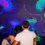 Weekend Night Tour: Evening River Cruise, with 2 Light Shows - Who Will Love This Tour?