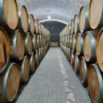 Wine tour in Samarkand (Baguizagan) English - Who Should Consider This Tour?