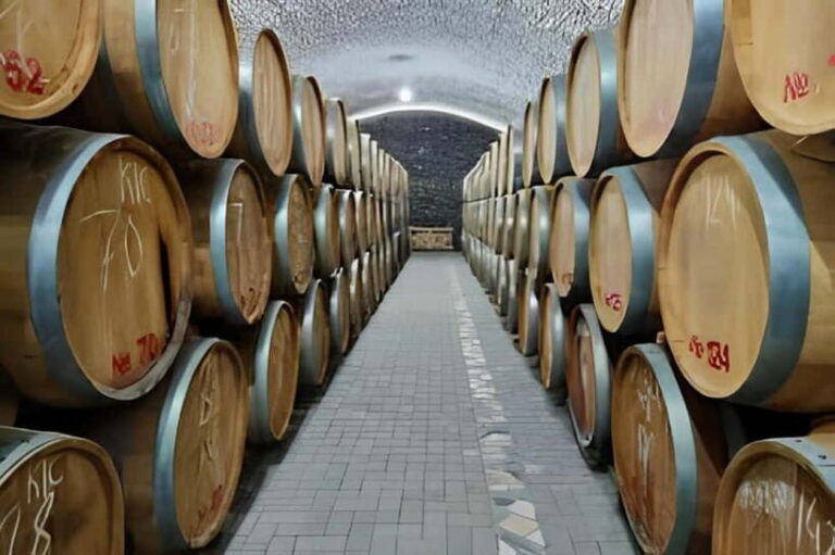 Wine tour in Samarkand (Baguizagan) English - Who Should Consider This Tour?