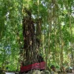 Xishuangbanna: Day Trip to Daluo - Transportation and Timing: Why It Matters