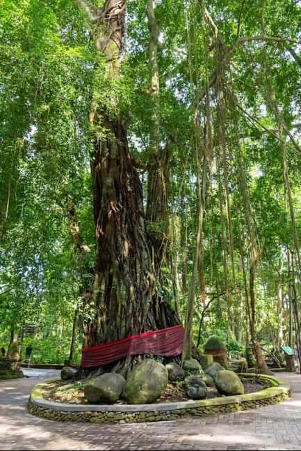 Xishuangbanna: Day Trip to Daluo - Transportation and Timing: Why It Matters