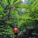 Xishuangbanna: hiking in the rain forest of Jinuo Mountain - The Cost and Value