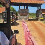 Yala 4h Jeep Safari: Guided Wildlife Experience (All Inclusive) - What’s Included and What’s Not