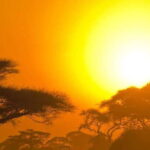 Yala Block 5: Private Morning or Evening Safari - A Closer Look at the Safari Experience