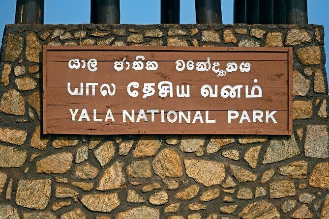 Yala National Park Half Day / Full Day Special Safari Tours - In-Depth Look at the Itinerary
