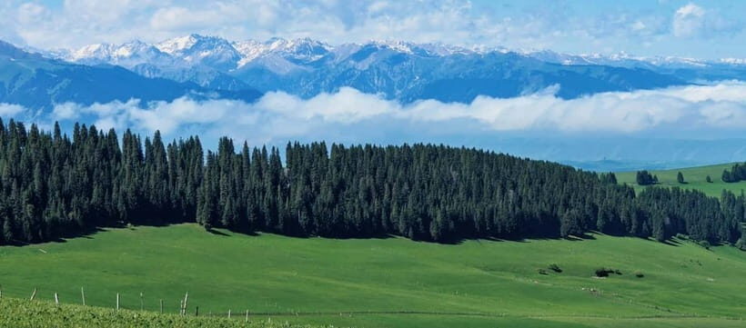 Yining, Xinjiang: 6-Day Kazakh Horseback Crossing Tour - What’s Included & What to Keep in Mind