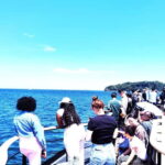 Yokosuka: Guided Island Tour to Sarushimas Forgotten Port - Key Points