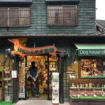 Yufuin: Onsen Wellness & Culinary Delights Guided Tour - The Experience of Transportation and Service