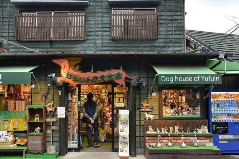 Yufuin: Onsen Wellness & Culinary Delights Guided Tour - The Experience of Transportation and Service