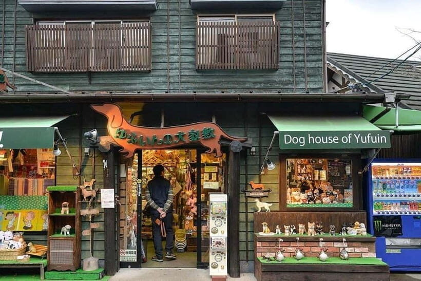 Yufuin: Onsen Wellness & Culinary Delights Guided Tour - The Experience of Transportation and Service