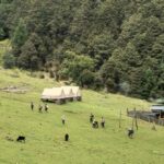 Yunnan: 2-Day Tour to Haba and Black Sea Lake - Gathering Authentic Experiences and Practical Details