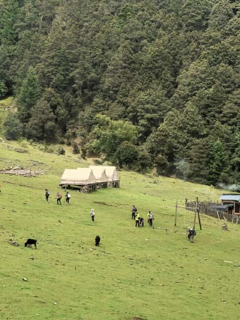 Yunnan: 2-Day Tour to Haba and Black Sea Lake - Gathering Authentic Experiences and Practical Details