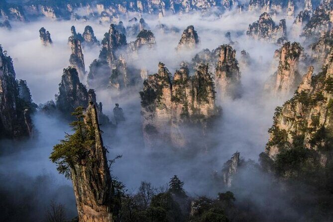 Zhangjiajie National Forest Park Entrance Ticket - The Sum Up