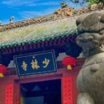 Zhengzhou Private Day Tour to Shaolin Temple and Longmen Grottoes - Authentic Experiences and Insider Tips