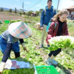 1 Day Easy Rider Tour in DalatVillages, Farms & Waterfalls - Why This Tour Works for Different Travelers