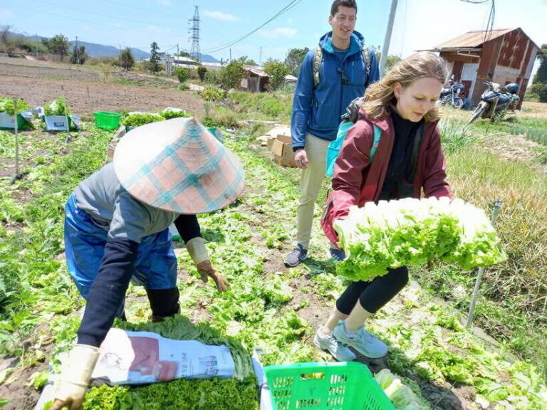 1 Day Easy Rider Tour in DalatVillages, Farms & Waterfalls - Why This Tour Works for Different Travelers