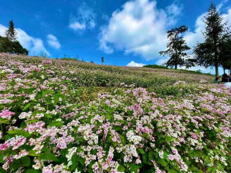 1 Day Ha Giang Loop Tour by Motorbike with Easy Rider - Exploring Local Culture and Crafts