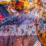 1-Day Tokyo Private Customizable Day Tour with a Guide - Who would enjoy this tour?