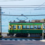 1-Day trip: Kamakura City (Enoshima/Shonan/Beach) - What to Expect from the Tour