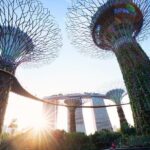 2-4 days in Singapore Guided Tour Pass - Why This Tour Pass Offers Great Value