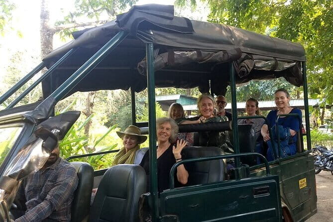 2 Day Bandipur Safari and Mysore Palace Tour - Who Should Consider This Tour?